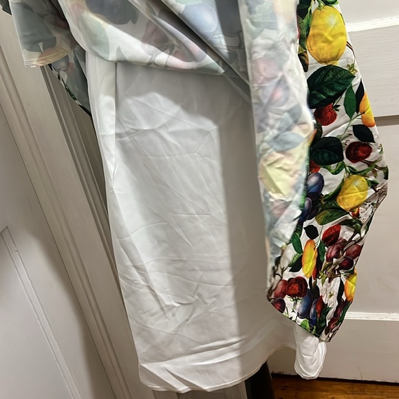 City Chic Women’s 18 Plus Rockabilly  Fruit Salad Dress SPRING 2024 - Picture 3 of 10